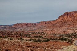 Capitol Reef National Park (21 of 144).jpg