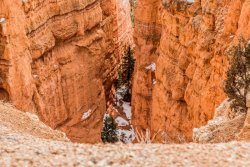 Bryce Canyon Utah (255 of 454).jpg