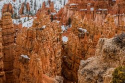 Bryce Canyon Utah (257 of 454).jpg