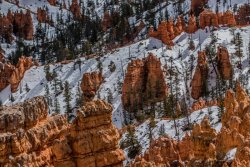 Bryce Canyon Utah (354 of 454).jpg