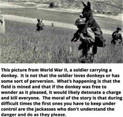 WWII_donkey.jpg