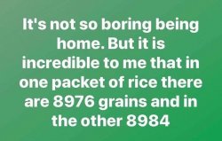 1654FCAD-C8A8-4DFD-A13E-BAEAB842E669.jpeg
