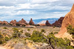 Arches National Park (288 of 313).jpg