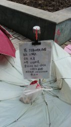 20190907_153040.jpg