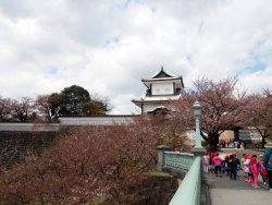1-p4116840.jpg