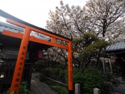 1-p4126998.jpg