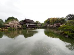 1-p4137149.jpg