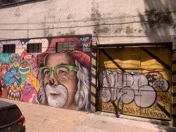 IMG_5883.jpg