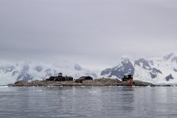 UltimateAntarctica&Patagonia_Voyage3_2020_Photograph_01.jpg