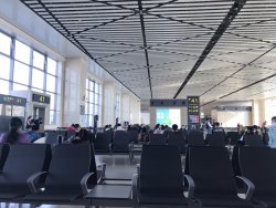 The crowd at Gate 41