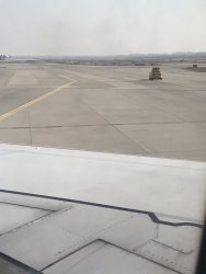 IMG_1905.JPEG