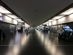 73010AA7-09AD-4CD4-AE72-904C4601EC41.jpeg