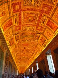 1-p5081382 (1).jpg
