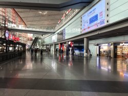 IMG_1908.JPEG