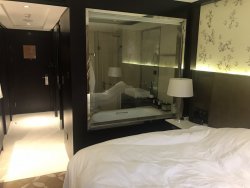 IMG_1923.JPEG
