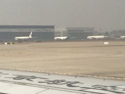 IMG_1942.JPEG