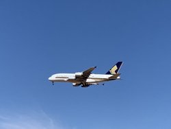 1AFAD005-1A4D-4878-BD08-12021B3A9A8E.jpeg