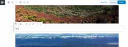 Screen Shot 2020-04-28 at 3.58.47 pm.png