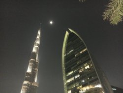 IMG_5379.JPG