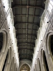 IMG_0239.jpg