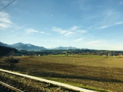 3A1C0786-7B79-4AC8-A8AB-0F82F396CAC3.jpeg
