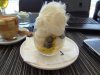 DSC08603.jpg