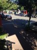 ImageUploadedByAustFreqFly1393543041.525201.jpg