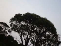 1595741563635.jpeg