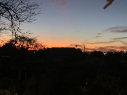 IMG_8467.jpg