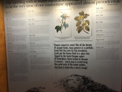 IMG_8526.JPG