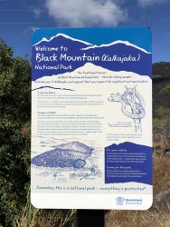 IMG_8533.JPG