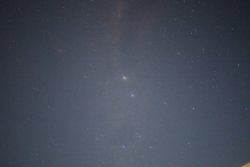 IMG_3554.jpeg
