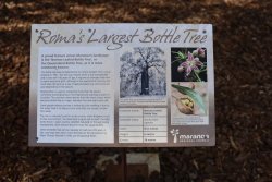 IMG_3514.jpeg