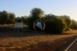 IMG_3535.jpeg