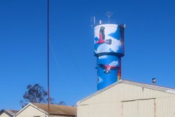 IMG_3560.jpeg
