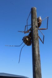 IMG_3567.jpeg