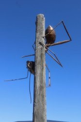 IMG_3569.jpeg