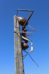 IMG_3571.jpeg