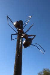 IMG_3572.jpeg
