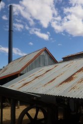 IMG_3615.jpeg