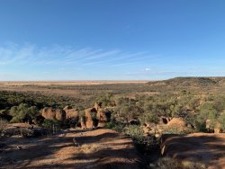 IMG_3506.jpeg