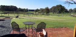 20200803_091622.jpg