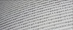 Human genome, Wellcome Foundation detail2.jpg
