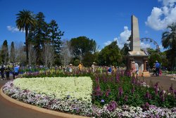 DSC_0063 (002).jpg