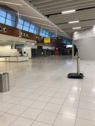 IMG_6516.jpeg