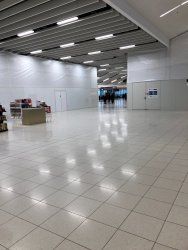 IMG_6520.jpeg