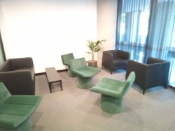 IMG_20201013_074019_267.jpg