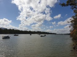 20201003_084731.jpg
