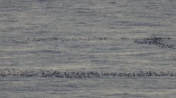 DSC01779.JPG