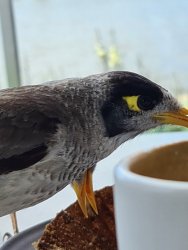 20201107_104416.jpg